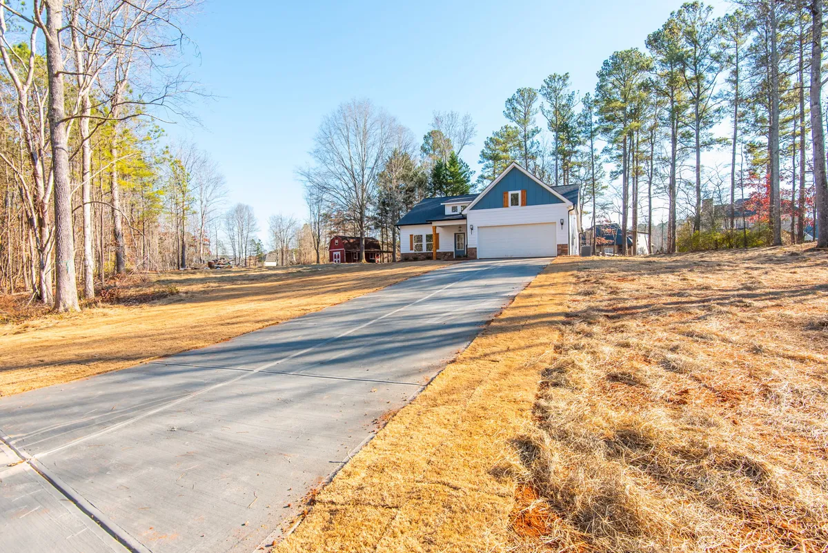 Photo Gallery: Olive