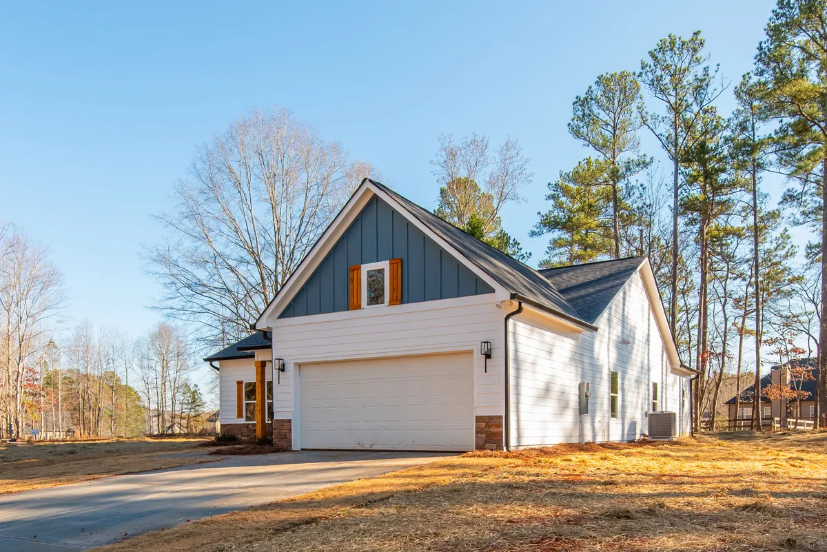 Photo Gallery: Olive