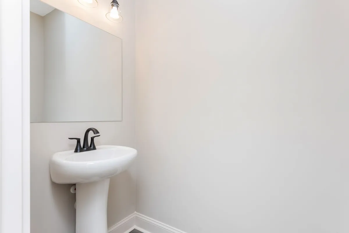 Photo Gallery: Olive