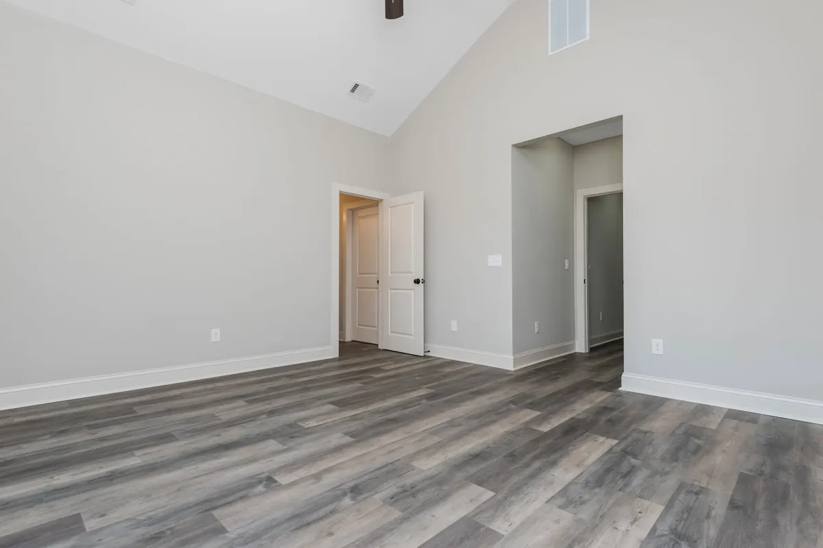 Photo Gallery: Olive