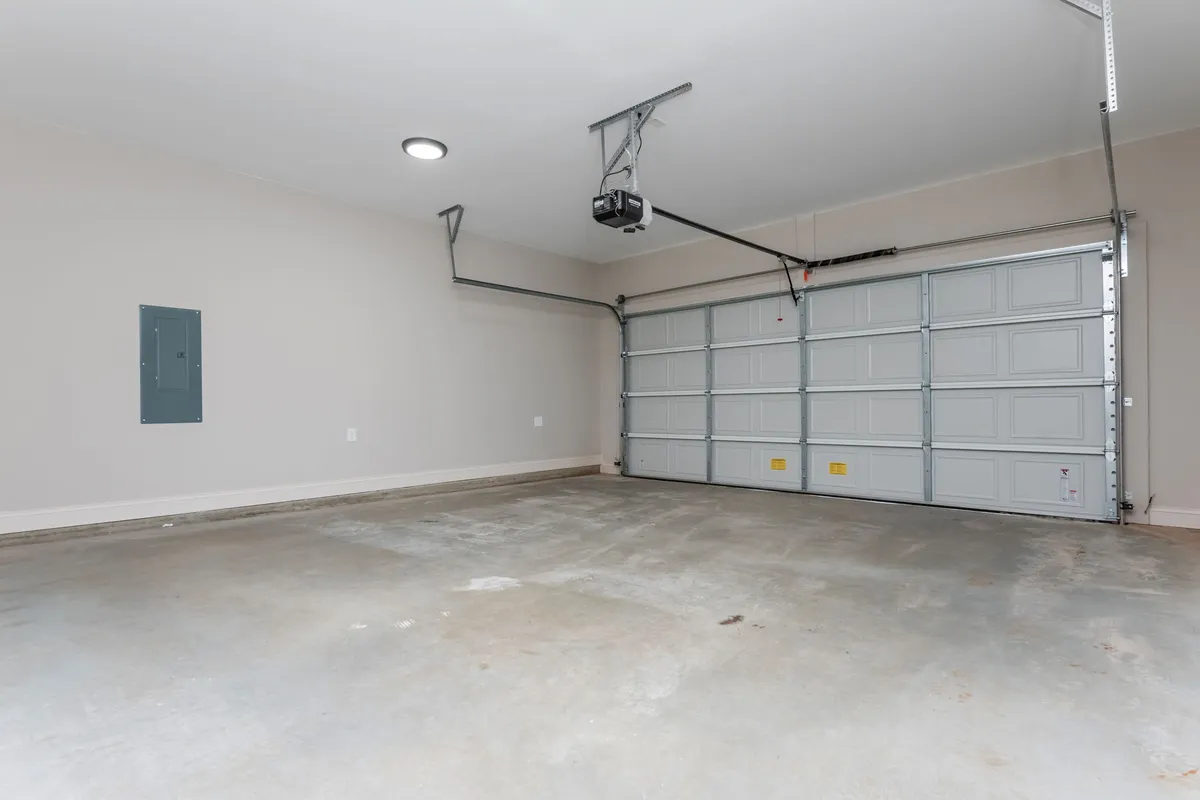 Photo Gallery: Olive