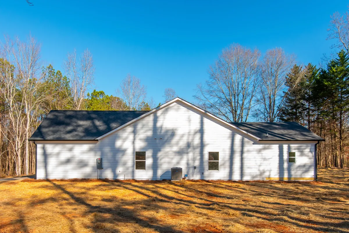 Photo Gallery: Olive