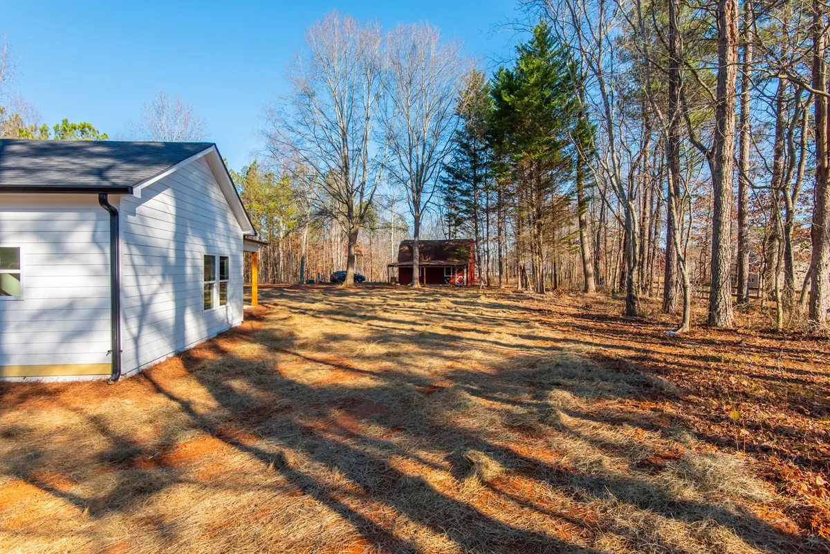 Photo Gallery: Olive