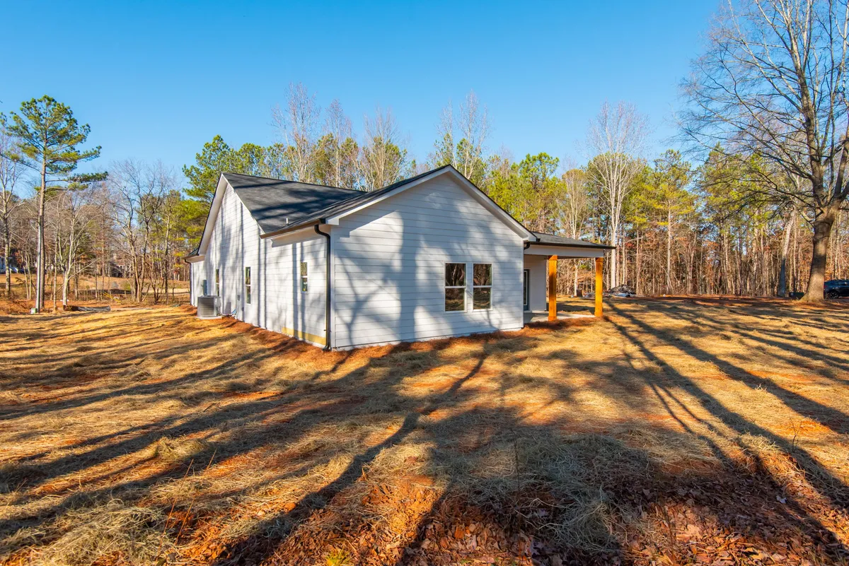 Photo Gallery: Olive