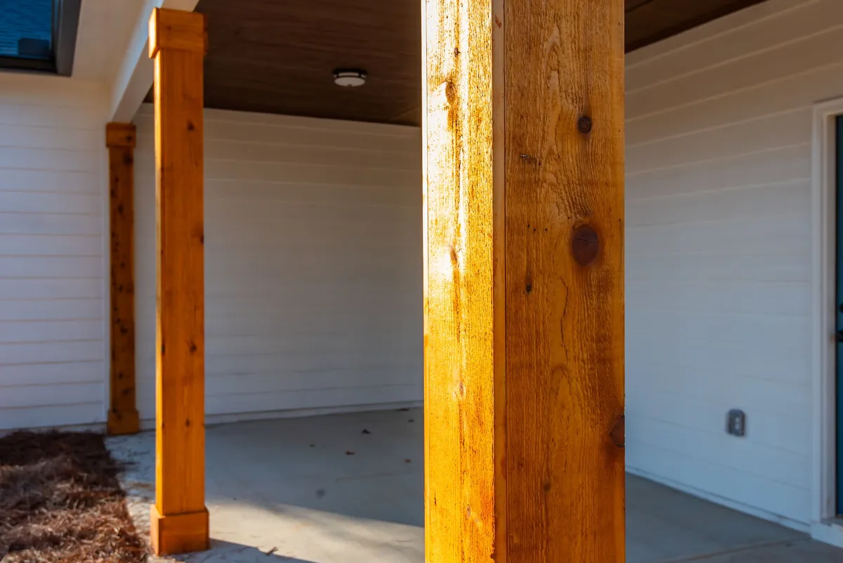 Photo Gallery: Olive